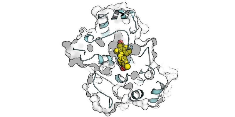 Symbolic image: An active substance binds to its cellular target structure. Symbolic image: An active substance binds to its cellular target structure.