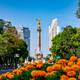 View of the Angel of Independence with vibrant marigolds and cityscape in Mexico City.