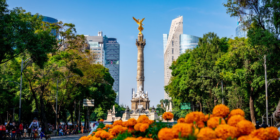 View of the Angel of Independence with vibrant marigolds and cityscape in Mexico City.