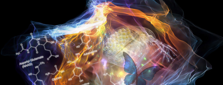 Header - Wolke Bunte Grafik einer Wolke mit verschiedenen Symbolen aus der Wissenschaft, z.B. Zellen und chemische Elemente, dunkler Hintergrund
