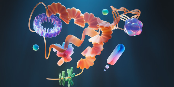 Protein design Abbildung