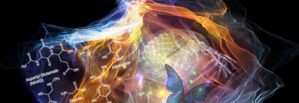 Bunte Grafik einer Wolke mit verschiedenen Symbolen aus der Wissenschaft, z.B. Zellen und chemische Elemente, dunkler Hintergrund 