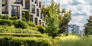 Housing complex with green area